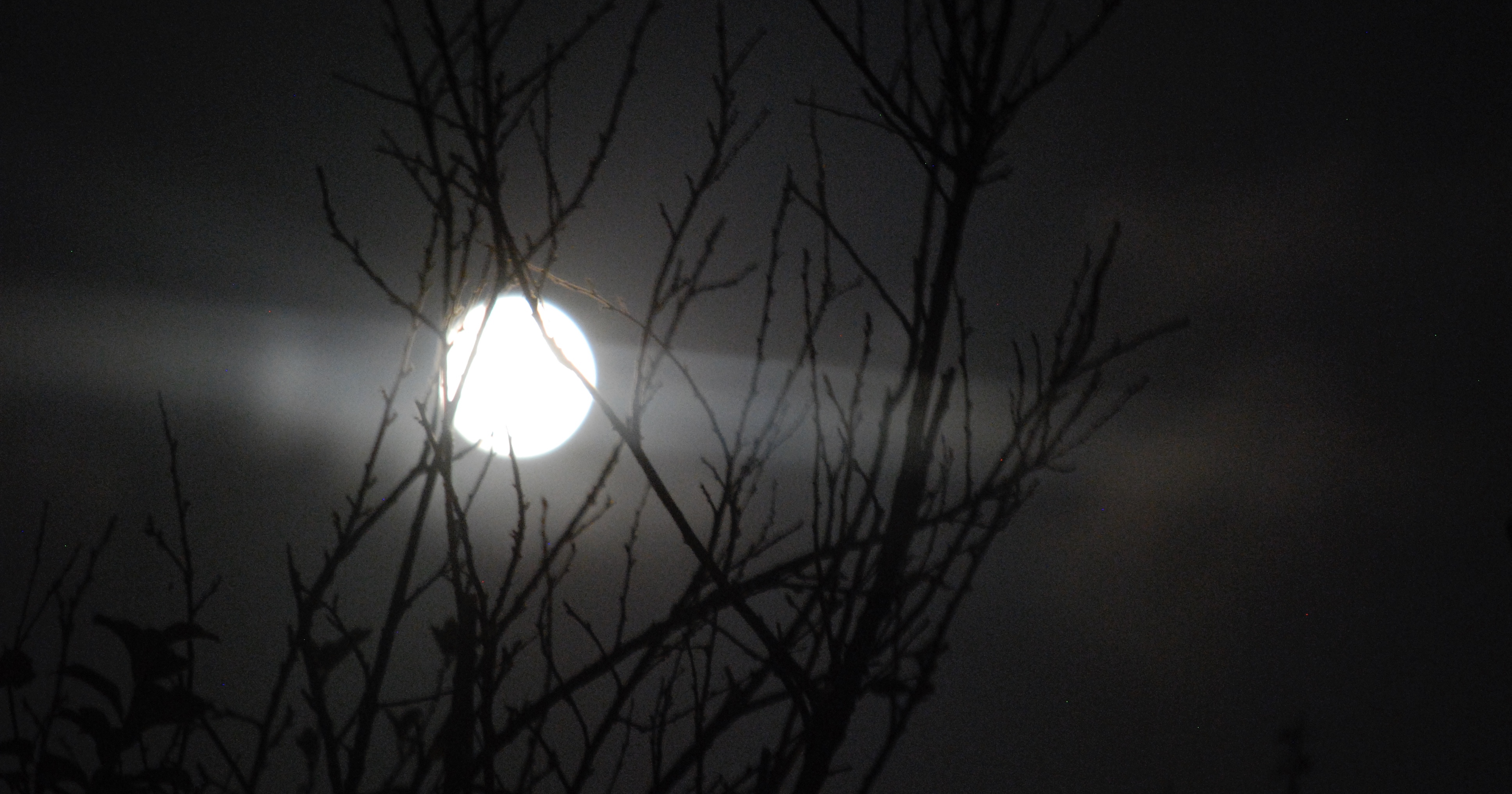 Silent Night, Holy Night